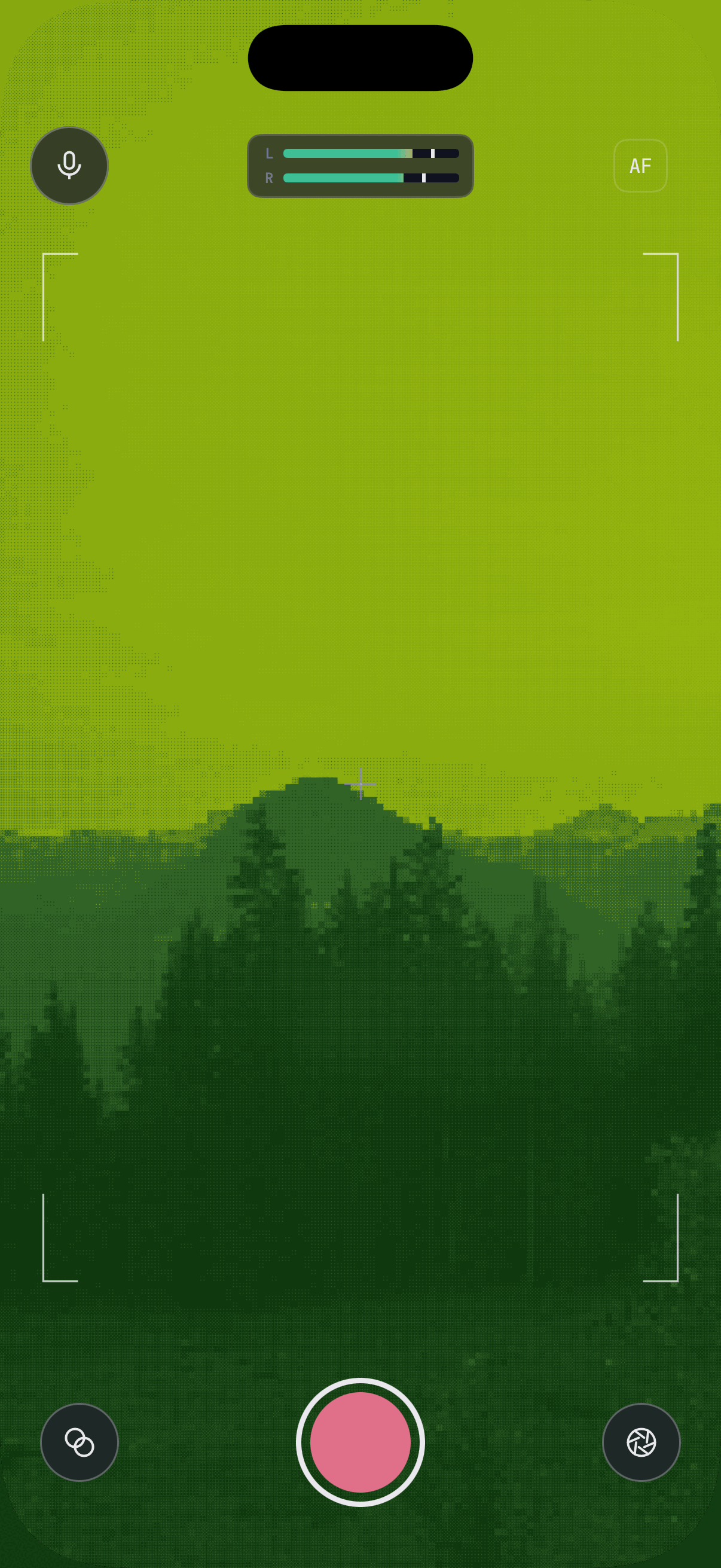 A mountain sunset reduced to four shades of green with dithering turned up — the furthest DVC Cam's effects go